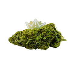 grosse tete fleur cbd fanta trichomes structure dense