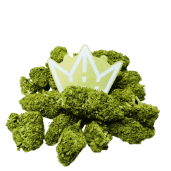 groupe fleurs cbd amnesia qualité premium cannavibeshop